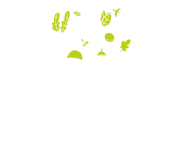 Ortofrutta Regina
